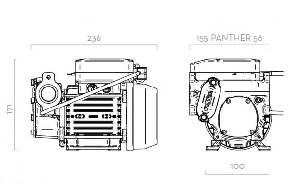 Насос для перекачки дизельного топлива 220В-вольт(V) PIUSI PANTHER 56 F00730000, 56 л/мин