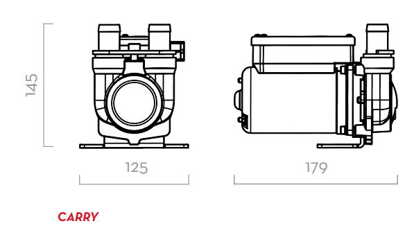 Насос для перекачки дизельного топлива 24/12В-вольт(V) PIUSI CARRY 3000 INLINE F00224240, 50 л/мин