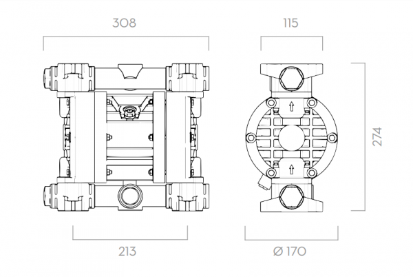 Насос для масла, дизельного топлива пневматический мембранный Piusi MA 140 F00208P10, 100л/мин